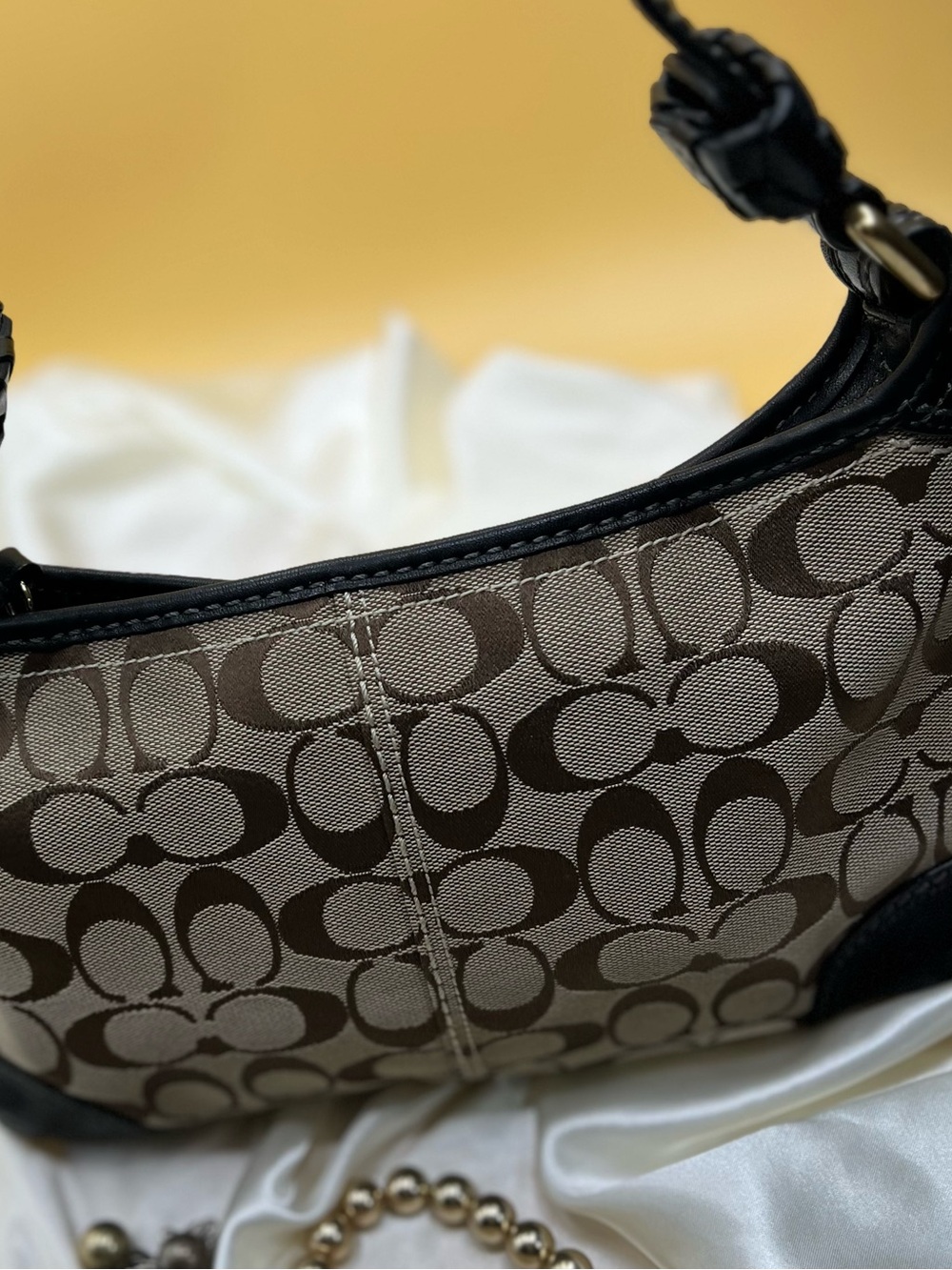 Coach Signature Canvas Shoulder Bag in Brown and Black